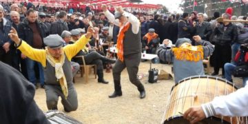 Davulcu Organizasyon